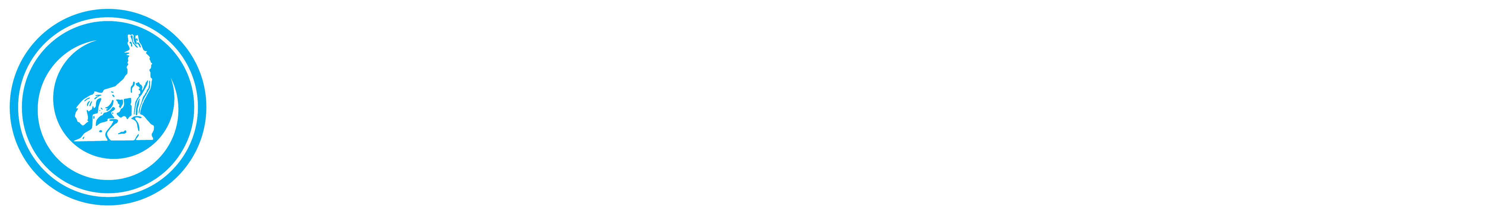 Samsun Ülkü Ocakları